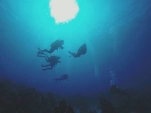 Divemaster training, part of becoming a professional dive leader